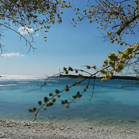 -by The Sea Апартаменты Банджоле